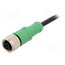 SAC-4P-3,0-PUR/M12FS Cable: for sensors/automation; M12; PIN: 4; straight; 3m; plug; 4A 9xbHgjyK8QAgdhpH3CYu1sCCjbN3y_s47hKwaRU1FDc