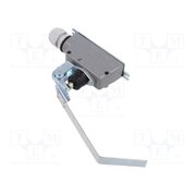 LM-10D W0-59-251022 Limit switch; flat lever; SPDT; 6A; max.400VAC; max.220VDC; IP56 A4FWl5azElasCs1hnXKyWccNdphHxlVTyVXMjuPMmzU