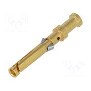09150006225 Contact; female; copper alloy; nickel plated,gold-plated; 10A tqjyJbm2koZfXee2zbWXdSQF0eyVNDkouZDuRLO-1SM