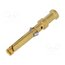 09150006225 Contact; female; copper alloy; nickel plated,gold-plated; 10A tqjyJbm2koZfXee2zbWXdSQF0eyVNDkouZDuRLO-1SM