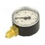 105 Manometer; 0÷6bar; G 1/4",bottom connection; 50mm; Temp: -20÷60°C sDWtmlAafAayjJBNhueLv-f8ME3Tm4Zyf_kfDd-E984