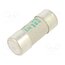 442010 Fuse: fuse; 10A; 690VAC; aM; ceramic,cylindrical,industrial FohwrSkgIAS0R-APor-jXj96QOPN-zrzzctNmYuitJc