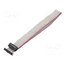 DS1052-01-162B2NA203001 Ribbon cable with IDC connectors; Tape ph: 1mm; Contacts ph: 2mm 9uQepRwCBqrk4ZvbhelRlQp1rHVU2H_UFOPCyFNzQSo