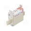 365065 Fuse: fuse; 100A; 690VAC; 440VDC; aR; ceramic; NH000 _HH1LLw8qK_ENaJgpKj4p1V73ea0LjjbiUNwtgXe2SU