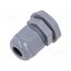 EP-SGL-PG11-GR-B Cable gland; PG11; IP68; polyamide; grey; Entrelec 05lDjsyABmw3ImlMUpQtk2EH6GhxTbux6jgh6jbvHjM