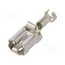 341002-6 Terminal: flat; 6.3mm; 0.8mm; female; 0.8÷2mm2; crimped; for cable oWfWgcLxXxNkVgHt-bxQSD7x8DzC9znilh6O2W_rxAc