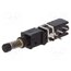 1446.1233 Switch: push-button; Pos: 2; SPDT; 0.5A/60VAC; 0.5A/60VDC; ON-(ON) CdnulG30xFw0WKxiYxRGCmR5EuC8YV-hwIZUuLRvpw4
