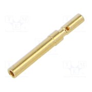 44423286 Contact; female; gold-plated; 0.09÷0.25mm2; 24AWG÷28AWG; crimped nwyAeDpeJAXlkC-utcG4XH1bzW5kdsMn5fgdNZxig_s