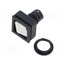QXJT Switch: push-button; IP66; QUARTRON-JUWEL®; black; 24x24mm q4vaW3mDw-zrJchTPXhWBiaP8JBmfwZvS3cEMWZQRTI