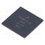 MIMX8MM6DVTLZAA IC: ARM microcontroller; LFBGA486; Architecture: Cortex A53 h028oeCUQSlRLcfSQTz_c_uRVu6MmDd9hCFg4u-Igl0