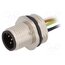 ESTGH050MSS00,5E05 (M16) Connector: M12; socket; PIN: 5; male; 125V; IP68; cables; 0.25mm2 P2hgCSIm8cyFaG8ZvKa7UScrP5k5Xj3c94yCWvXunes