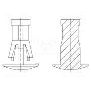 8G820V41245 Assembly stud; polyamide 66; L: 12mm; snap fastener; natural PVJ369iQ1ra0fw5TFb3nnDcl6_2M0ZVvbDNYGtClOS0