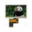 NHD-4.3-480272EF-ASXP-T Display: TFT; 4.3"; 480x272; Illumin: LED; Dim: 105.5x67.2x4.15mm vTzx8oAu0CU4E-zT0qEkLHkXBksN2PQ7yxNZcWcrf-M