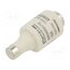 DIIGG50V16 Fuse: fuse; 16A; 500VAC; 500VDC; gG; industrial; DII vFHclZWNrgPnNBRj4kSEGRHMSZrU3RmelI5UvqCZPrE