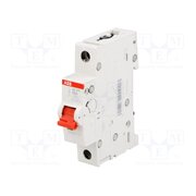 2CDD281101R0063 Switch-disconnector; Poles: 1; for DIN rail mounting; 63A; 253VAC VefFBpqDMzQ4sbhlWd0YuwTALysaRkXVJTSEZ6GRn-A