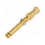 09150006221 Contact; female; copper alloy; nickel plated,gold-plated; 1.5mm2 w5MxATH5TQnzLLh00HFnHSBfcu4g0B87mQtLbzO1DHU