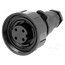 PX0748/S Connector: circular; plug; female; PIN: 4; 10A; 250V; IP68; UL94V-0 QkDg5ksrZT7DZBjWXYtDGJEAlRgSMNP2NhU_A9XCQ8o