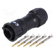 CB-05BFMA-QL8MP0 Connector: circular; plug; for cable; PIN: 5; male; with contacts g_mrNTxKzo34HAfhK3_AVjm5boMqGlLXwTLQfH_Gcb4
