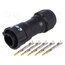 CB-05BFMA-QL8MP0 Connector: circular; plug; for cable; PIN: 5; male; with contacts g_mrNTxKzo34HAfhK3_AVjm5boMqGlLXwTLQfH_Gcb4