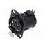 NC3FD-H-BAG Connector: XLR; socket; female; PIN: 3; angled 90°; THT; black; 6A NEyZXUTIj-IAF2Mi2L4CapuKaFQQZqFSqAG1HO1GInE