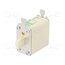 004111735 Fuse: fuse; 125A; 690VAC; aM; ceramic,industrial; NH00; WT-NH e39QijCdu1wg6mtqp9Cju3efsn6---Np2216GryZ5TY