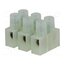 BM 92CS3 Connector: terminal block; 250V; with wire protector; natural RXtAS7g6KQzxK2CfXvoWqsB5M--CYZ6PdTz0sxvvbEU