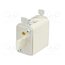 004182204 Fuse: fuse; 10A; 500VAC; gG; ceramic,industrial; NH00; WT-NH hj97SJqTJPq3Swf3wqvvGkvUOxsh1ZGwsdpJjWJ8Oho