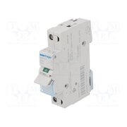 SBN125 Switch-disconnector; Poles: 1; for DIN rail mounting; 25A; 230VAC tLgbiYxvglCyg7anWCG0v2rC3ytW0UCXrklJm1YVmdw