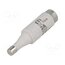 002311101 Fuse: fuse; 2A; 500VAC; 500VDC; quick blow; ceramic; DI; D _Q3DETKo4JDhgxBuj9SP2DSeawyKZtbF--mlljTQWZQ