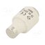 LE33F35 Fuse: fuse; 35A; 500VAC; gF,quick blow; DIII 6ZPK07_gh3K6vweAcZIGcTnRVk_3Y2bLqb9uFCN9TdA