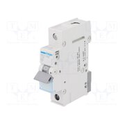 MCN125E Circuit breaker; 230/400VAC; Inom: 25A; Poles: 1; Charact: C; 6kA LV-L_af5c23HhYd4_lK12VzuGyXWyvjgh4FNXM0xsQE