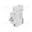 MCN125E Circuit breaker; 230/400VAC; Inom: 25A; Poles: 1; Charact: C; 6kA LV-L_af5c23HhYd4_lK12VzuGyXWyvjgh4FNXM0xsQE