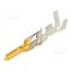 39-00-0220 Contact; male; Mini-Fit Jr; phosphor bronze; gold-plated; bulk dlXHbGhb_PntNReMp_v65WgiZZyHusL26-vQKhk6TPE