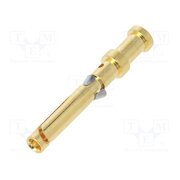 10A-GF-0.5 Contact; female; copper alloy; gold-plated; 0.5mm2; 20AWG; bulk CzWS0H3Npch2qjsMS0wG72MFP4viKj5Vf2gYBC4JaU8