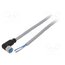 YG8U14-020VA3XLEAX Cable: for sensors/automation; M8; PIN: 4; angled; 2m; plug; 60VDC _x2KN2Vt7ZaC-iaiLOZ2lJRYxTU3jTRQQ1b4JJrhQTQ