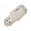 DIIGG50V25 Fuse: fuse; 25A; 500VAC; 500VDC; gG; industrial; DII GRggHhXHCcctaY4W2m5N73KcCWVElIwl6LdH4l0joJk