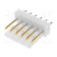 22-29-2061 Connector: wire-board; socket; male; PIN: 6; KK 254; straight; THT -ppePsJdwIyC3kpsAWvj9wLzzONelJf1n21xuZOUORk