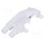 1270.1001 Fiber for LED; Ø3mm; No.of mod: 2; round; Front: flat AKVbNhARTmWfGEVnWoKlYbu9aMlSd2W3D1MrnwHDX3I