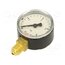 104 Manometer; 0÷4bar; G 1/4",bottom connection; 50mm; Temp: -20÷60°C ExaZadD_YOUSWW8BIyT4fcg_ur87k10yvZXBncyldeI