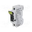 CHPV1U Fuse holder; 10.3x38mm; for DIN rail mounting; 30A; Poles: 1; IP20 SgbsUFtu6MUfeXomE1MuloW7lFw4w4r9nCghMiOWLbc