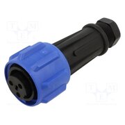 PX0911/03/S/02 Connector: circular; plug; female; PIN: 3; 32A; 600V; Buccaneer 900 0GkIyRjVqBw3csCHjDez3IDBSCVAz7AROOUJ9K6lvjA