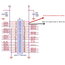 FAN 30x30x10 DC 5V for Raspberry Pi IVT0503R+1.jpg