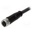21348100388020 Connector: M8; female; PIN: 3; straight; with lead; plug; 2m 7bfBICfhRBKzYA_Mzn-JQ-1W3vGw0O7zoQNd-OTCZKg