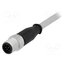 21348400882020 Connector: M12; plug; male; PIN: 8; straight; cables; 2m cwoq9TiiwpEI8hU3BEBYJbIauPYwCGbE1bSLAsMpU1w