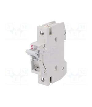 002261003 Fuse disconnector; D01; for DIN rail mounting; 16A; 230/400VAC VCNa06LHxlv1qzU0A36W41q18Ax_Y4W2glVk5w6Rws8