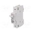002261003 Fuse disconnector; D01; for DIN rail mounting; 16A; 230/400VAC VCNa06LHxlv1qzU0A36W41q18Ax_Y4W2glVk5w6Rws8