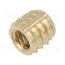 145M4 Threaded insert; brass; M4; BN 37915; L: 5.6mm; for plastic KHnrj5epdkVSyVHe9F5yAy0x0otiJDxKOKXgjMbcdWs