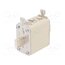 382050 Fuse: fuse; 50A; 690VAC; gG; ceramic,industrial; NH00 6qQZlJmyaWJPUpIvFcMiBJa1yYsz0PamaPyrLvv6tjQ