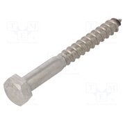 1214497 Screw; for wood; 12x100; Head: hexagonal; none; 19mm; DIN 571 rStpZknRcORYol6wUIkEqqUEVeQRCx9y4h1rWVH_Pu0