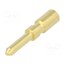 09151006121 Contact; male; 2mm; gold-plated; 0.75÷2.5mm2; crimped; for cable TqyGdZXUq1WBq70SbKOqWQ8odGwAPsiStwiV5v8B9zM